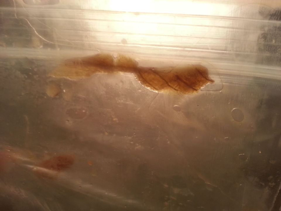 Image: tmp 20131006 2127471715538143 Image: tmp 20131006 2127471715538143