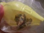 001thing from lemon juice container