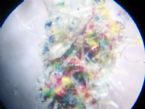 0022smaller size of colorful fiber