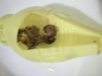 0141something growing in Lemon juice bottle ... (Click to enlarge)