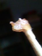Stick007 ... (Click to enlarge)