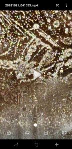Screenshot 20181021 045013 Video Player ... (Click to enlarge)
