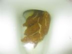 image191 ... (Click to enlarge)