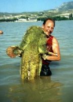 Largest Cat Fish I cot