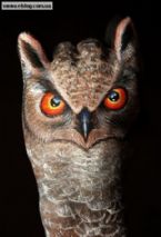 fist bird