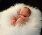 Amazing Miniature Babies by Camille Allen