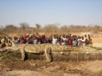 22 ft    2500 lbs Crocodile ... (Click to enlarge)