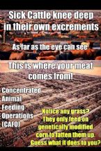 Know Your Beef!