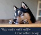 if people were like dogs