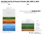 All Cause Mortality and Top 10 USA e1402597040445