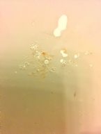 Nasal Garlic parasite cleanse