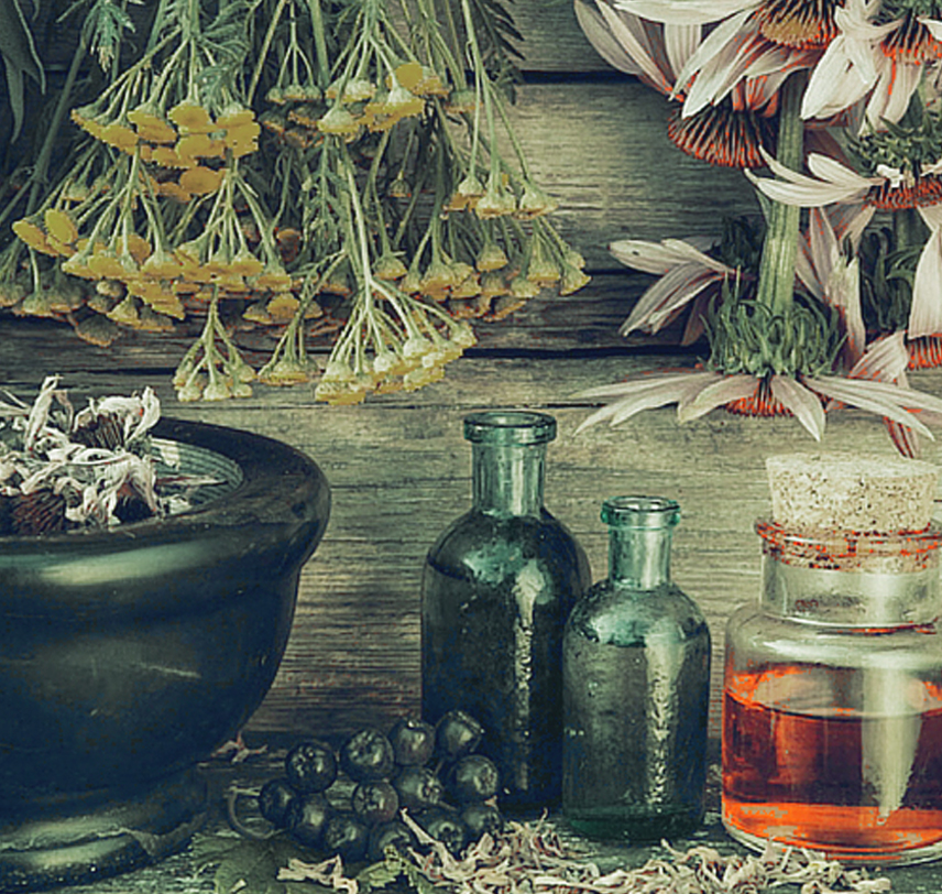 essential oils wholesale suppliers | Ultraadox essential oils wholesale suppliers | Ultraadox