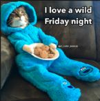 Friday night ... (Click to enlarge)