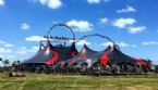 circus ... (Click to enlarge)
