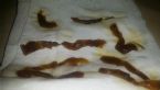 HELP! Identifying Parasite