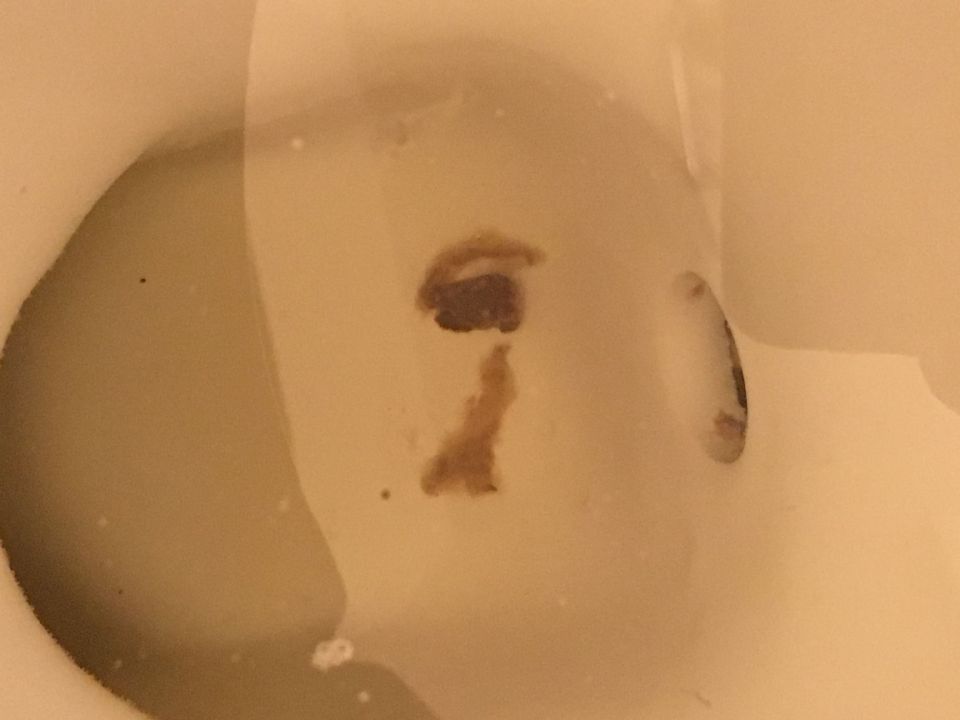 Image: Parasite?! Image: Parasite?!
