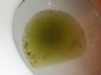 Neon Green Stool ... (Click to enlarge)