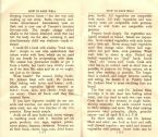 Booklet 12 and 13 ... (Click to enlarge)