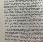 IMG 3847 ... (Click to enlarge)