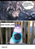 im cold and hungry i see humans around a bonfire 42181992 ... (Click to enlarge)
