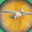 This is NOT my avatar. This is just randomly assigned image, until I upload my own avatar. Click here to see my profile.
