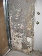 IMG 0690