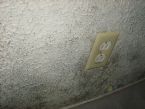 mold 003