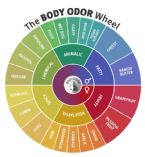 Body Odor Wheel