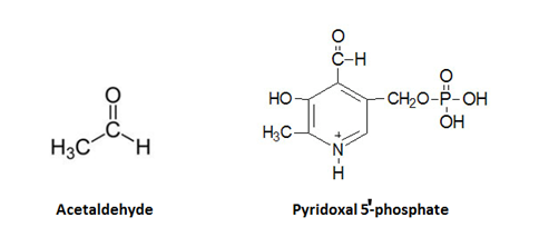 //www.curezone.org/upload/_C_Forums/Candida/acetaldehyde_pyridoxal_phosphate.png