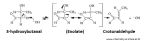 3 hydroxybutanal dehydration to crotonaldehyde ... (Click to enlarge)