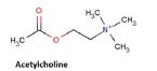 acetylcholine ... (Click to enlarge)