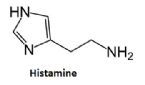 histamine ... (Click to enlarge)