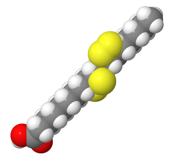 //www.curezone.org/upload/_C_Forums/Candida/wondro.jpg