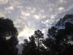 Harp effects of Chemtrails in Melbourne Australia ... (Click to enlarge)