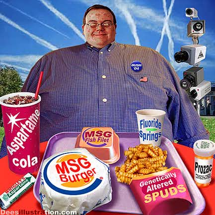 Image: 0 david dees aspartame cola msg burger fluoride springs1