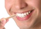 Miswak stick 100% organic Natural toothbrush NO toothpaste needed ... (Click to enlarge)