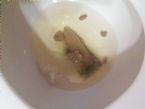 Poop is a little bit flatter than usual, including 5 tiny plops that shot out like darts ... (Click to enlarge)