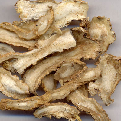Image: Clover Nutrition offers Angelica Dong Quai Extract Image: Clover Nutrition offers Angelica Dong Quai Extract