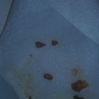 20191031 065632