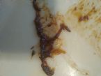 IMG 20201208 1120560041