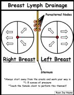 lymph Breast Drainage ... (Click to enlarge)