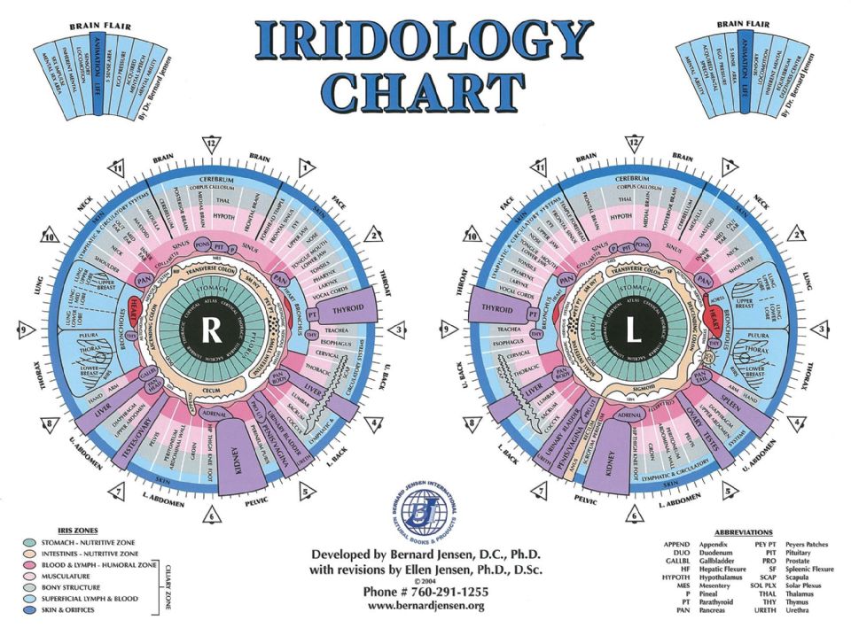 Sclerology Chart