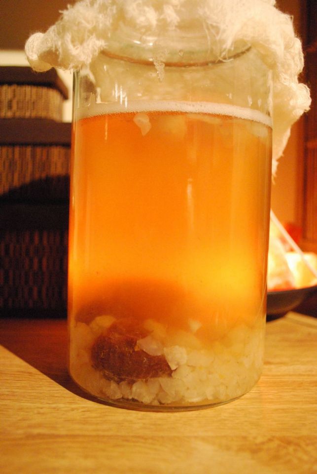 Water kefir Grains Water kefir Grains