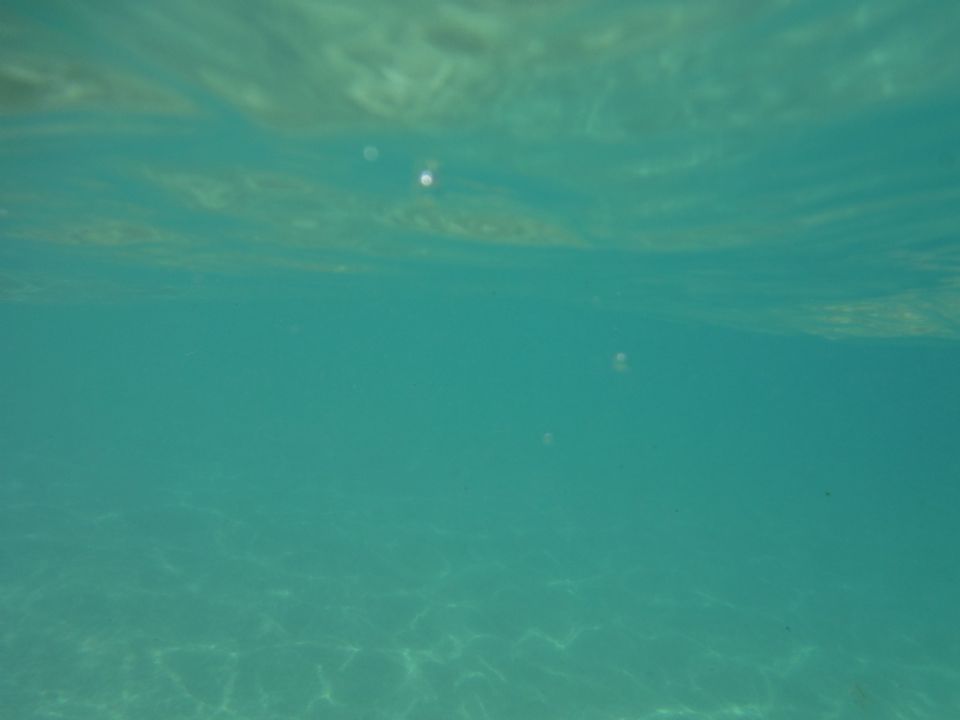 Pic Pic