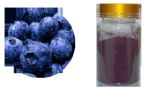 bilberry extract 6001