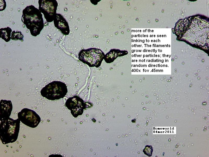 //www.curezone.org/upload/_M_Forums/Morgellons/FHW/Urine/urine_particl/Copy_of_6.jpg