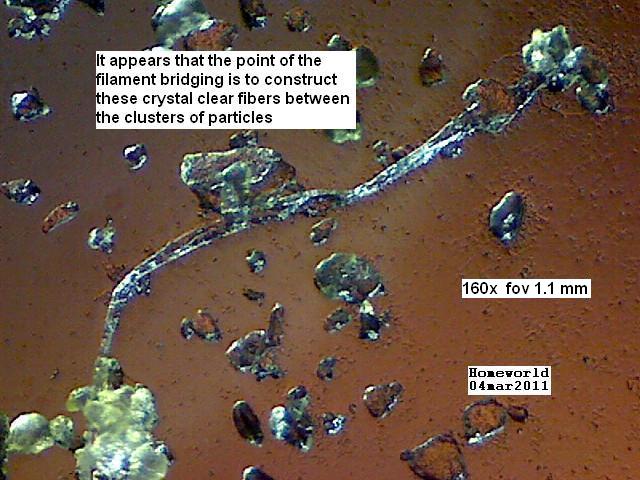 //www.curezone.org/upload/_M_Forums/Morgellons/FHW/Urine/urine_particl/Copy_of_9.jpg