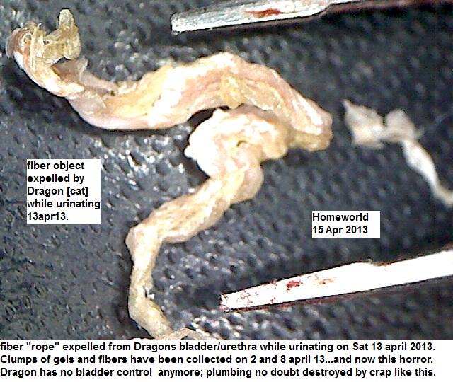 //www.curezone.org/upload/_M_Forums/Morgellons/FHW/cats/dragonrope15apr13.jpg