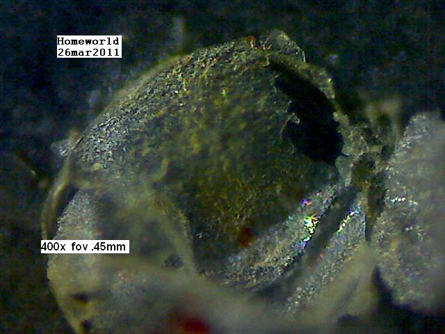 //www.curezone.org/upload/_M_Forums/Morgellons/FHW/stool/alegg_cu_26mar11.jpg