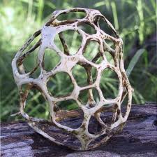 //www.curezone.org/upload/_M_Forums/Morgellons/images.jpg
